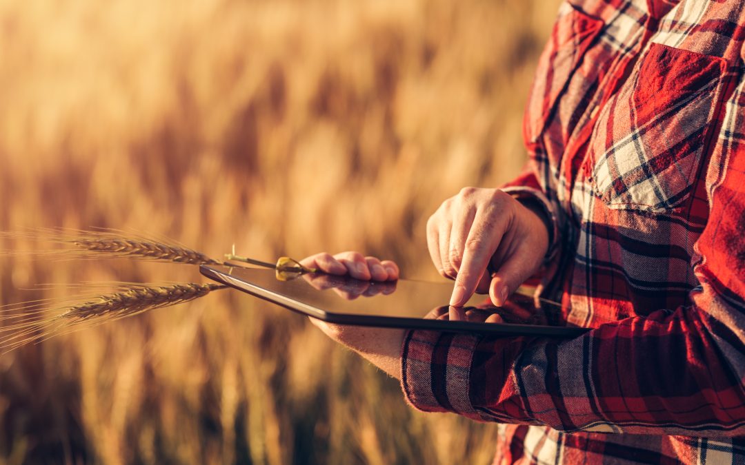 Zona rural na América Latina tem 72 milhões de pessoas sem internet de qualidade, diz estudo 