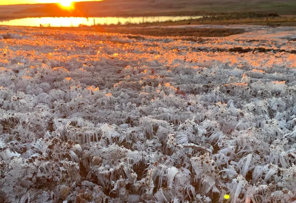 Risco de geada no Paraná e redução de chuvas no Sul