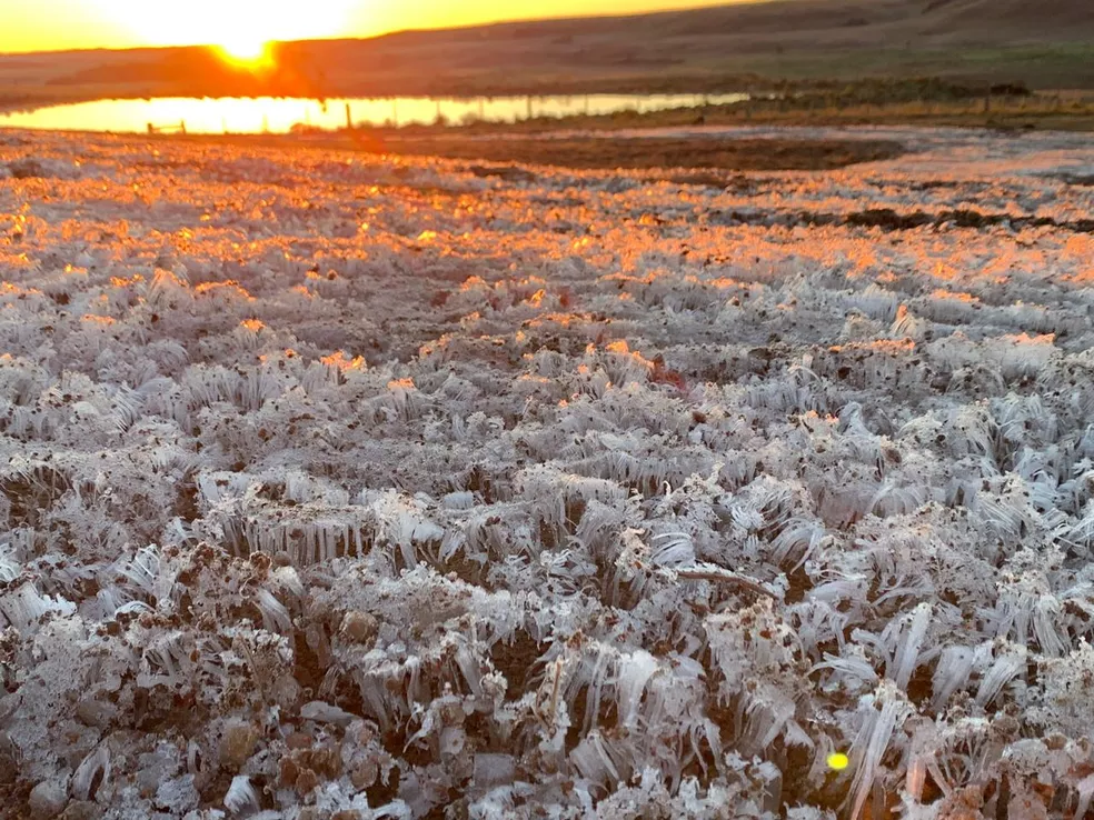 whatsapp-image-2019-07-04-at-07.39.00