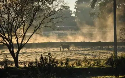 Frente fria se afasta do Brasil e chuva forte chega ao rio Grande do Sul