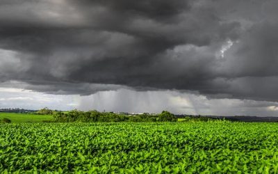 Alerta para chuva e geada nas áreas agrícolas