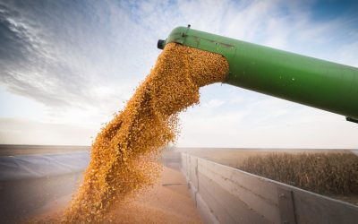 Conab divulga projeção da safra 22/23