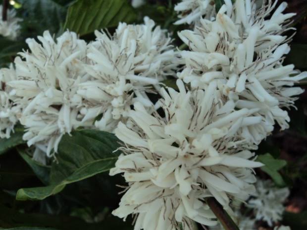 2F1EC106-CC06-4746-B577-E795DB46B5D6