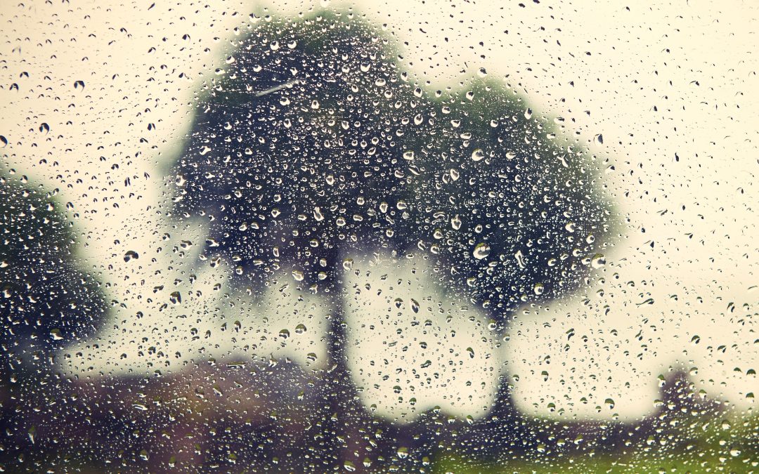 Previsão do tempo: instabilidade climática e chuva na maior parte do Brasil