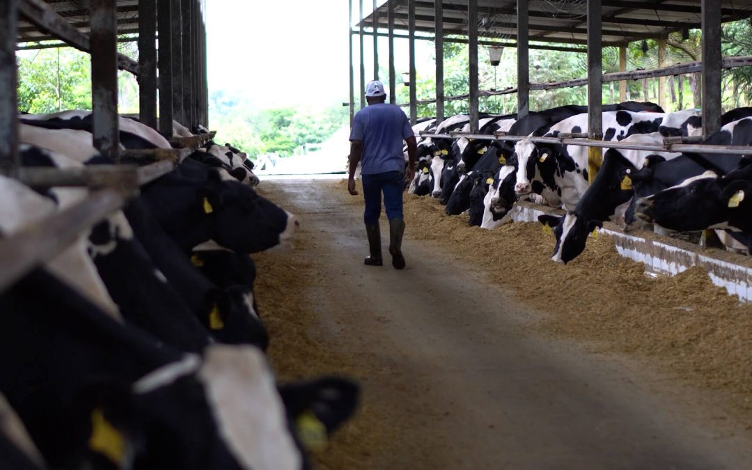 Brasil: 2º trimestre registra cerca de 19 milhões de pessoas empregadas