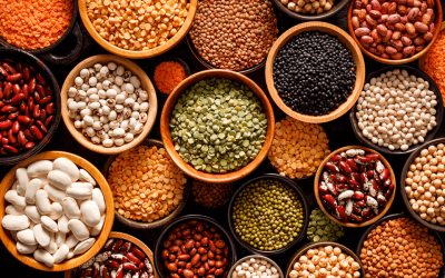 Safra 2024/25 deve bater recorde com 345,2 milhões de toneladas de grãos