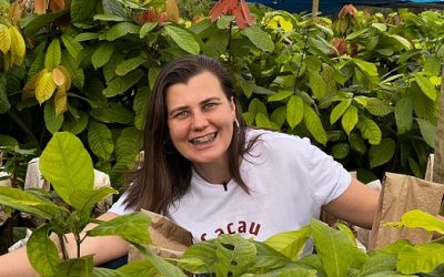 Cacau: Paixão e pós-colheita nas lavouras em Rondônia