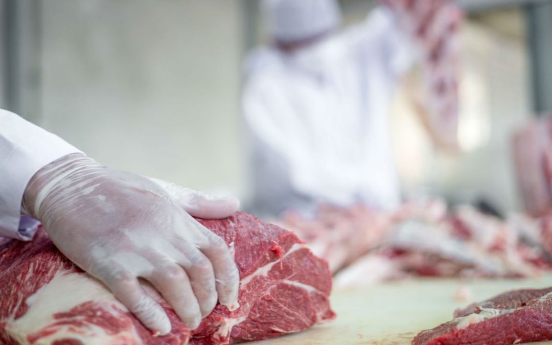 Carne brasileira em destaque no mercado internacional