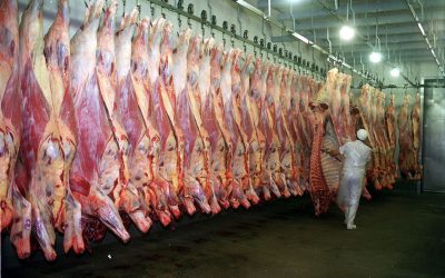 Frigoríficos em crise: Contas no vermelho e férias coletivas
