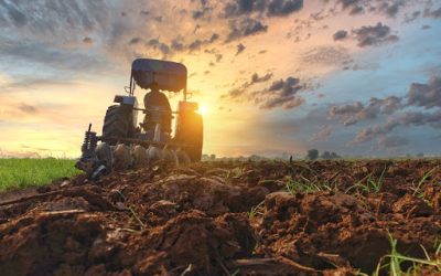Primavera começa nesta semana; confira o clima para safra 23