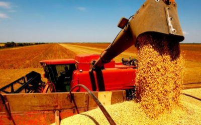 Conab inicia coleta para o 1º Levantamento da Safra de Grãos 2022/23