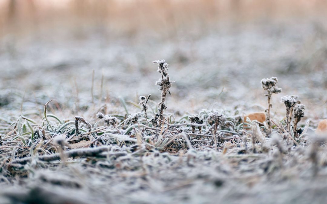 Massa polar chega ao sul do país