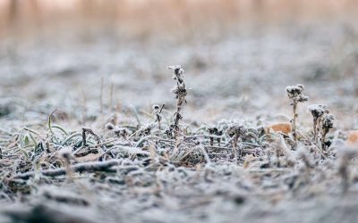 Massa polar chega ao sul do país
