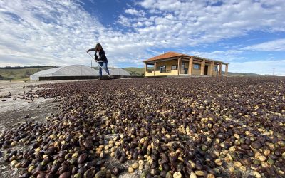 Mantiqueira: Fazenda investe em café especial aliado ao turismo