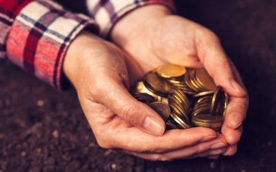 Plano Safra: contratação de crédito rural ultrapassa os R$ 113 bilhões