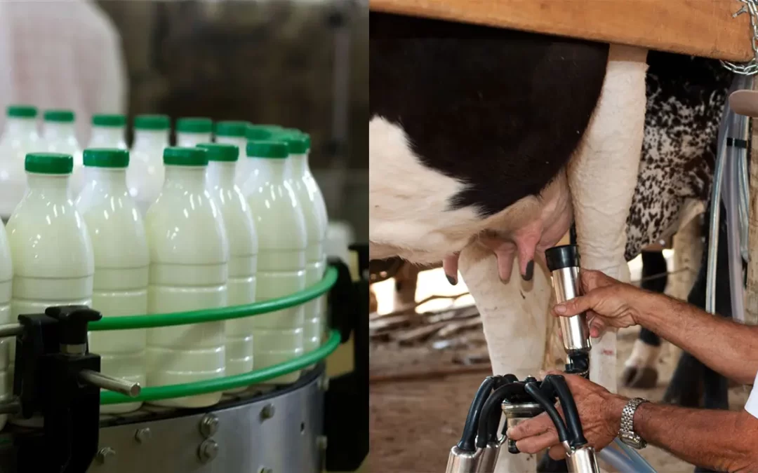 Brasil registra maior volume de importação de leite em 2022