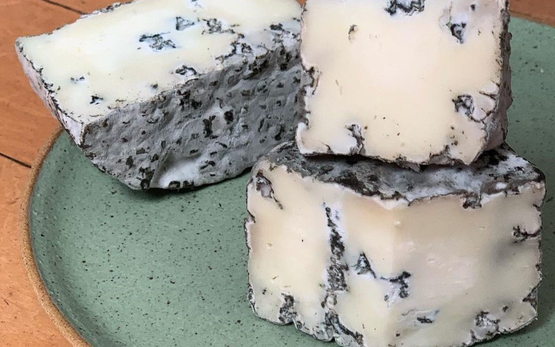 Queijo brasileiro é premiado em 2º lugar no concurso mundial