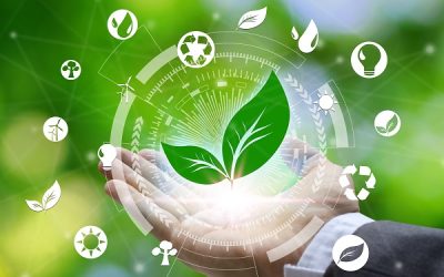 Agricultura de baixo carbono será a base para os investimentos do Plano Safra