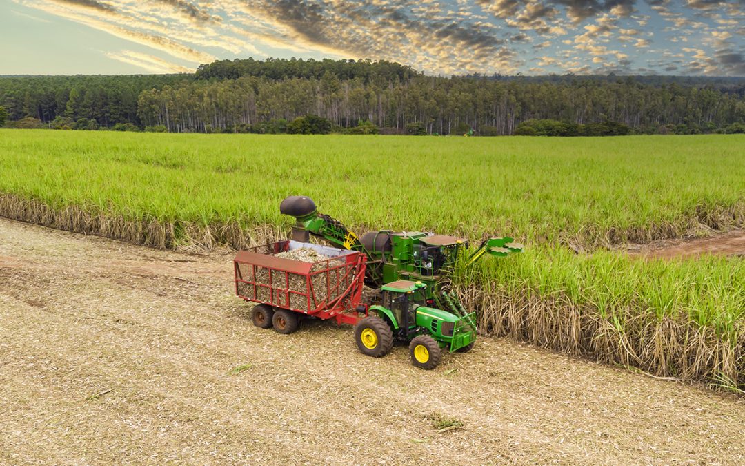 PIB do agro recua 1,7% segundo Cepea