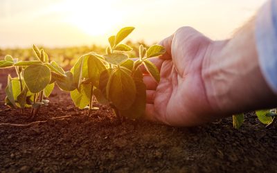 Soluções sustentáveis para a serra gaúcha na Expodireto Cotrijal
