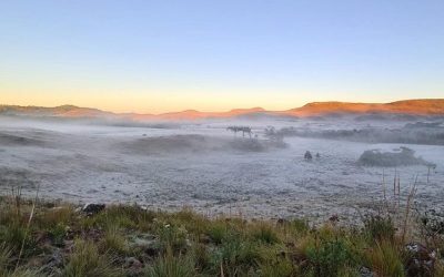 Primavera com geada na região Sul neste fim de semana