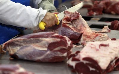 Carne bovina: Brasil atinge maior volume de venda da história