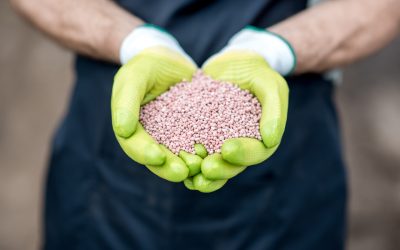 FERTILIZANTES: Safras & Mercado apontam preços mais baixos para 2023