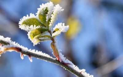 Clima é novamente risco para algumas culturas, em 2023