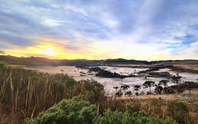 Frio e geada: veja como fica o clima nessa semana