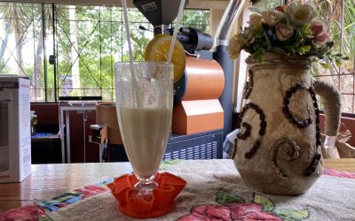 Produtora se reinventa na cafeicultura e cria suco com café