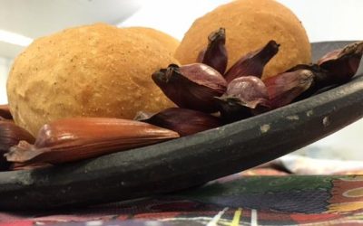 Especialistas descobrem em araucárias matéria-prima de farinha nutritiva