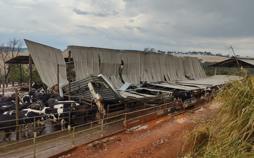 CAFÉ: Choque de massa provoca tempestade de granizo no Sul de Minas