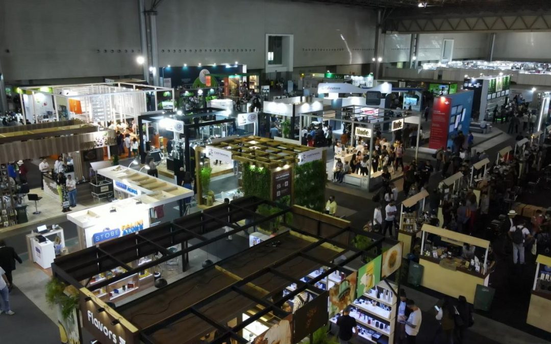 Café solúvel terá metodologia pioneira para avaliação de qualidade