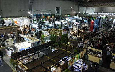 Café solúvel terá metodologia pioneira para avaliação de qualidade