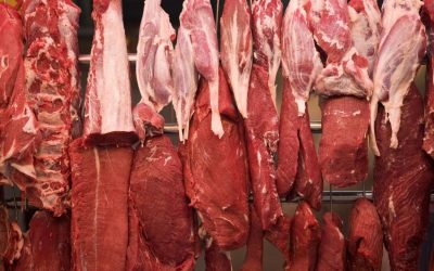 Embarques de carne bovina do Mato Grosso para China tem alta de 30%
