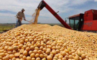 Conab prevê novo recorde na produção de grãos em 312,4 milhões de toneladas na safra 2022/23
