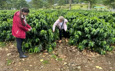 O café agroecológico da Costa Rica