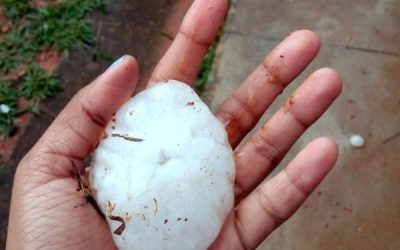 Chuva de granizo em novembro danifica 51 mil hectares de lavouras em Minas Gerais