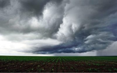 Outono inicia nesta segunda-feira; veja como será a nova estação