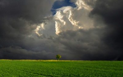 Clima em fevereiro pode elevar riscos para lavouras em parte do país