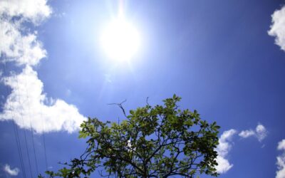 A oscilação climática tem gerado perdas no campo