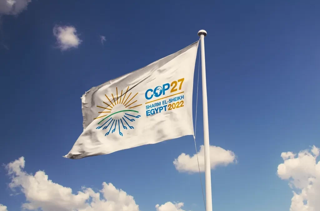 COP 27 e o “Roteiro do Setor Agrícola”