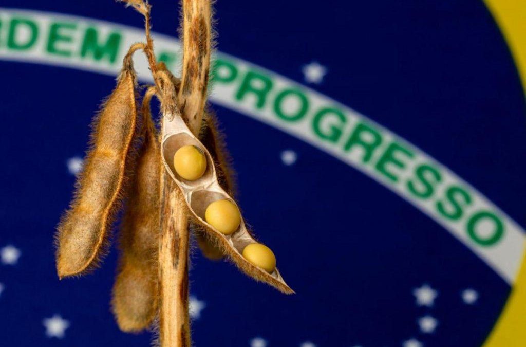 Protestos atrasam plantio da soja no Sul do Brasil