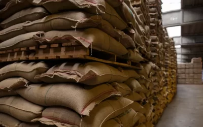Embarques de Café tem queda de 3,2% em outubro