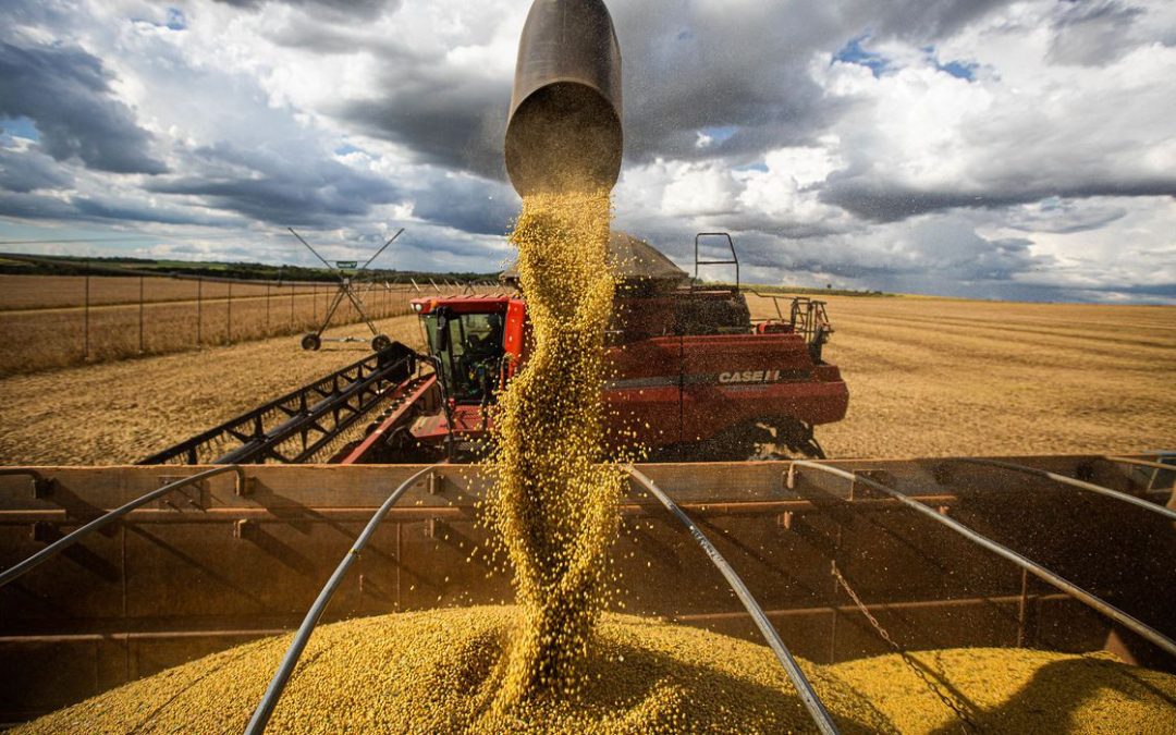 USDA aponta safra mundial de grãos em 390 mi