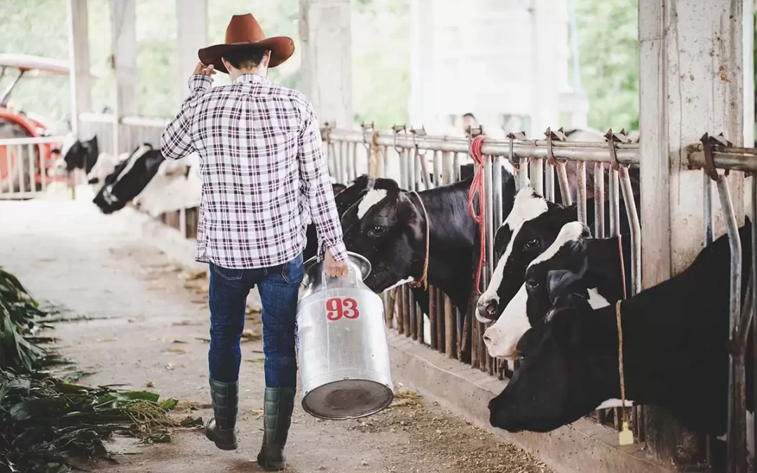 Leite: Importações brasileiras caem após cinco meses de alta