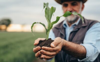 Contratações do crédito rural já chegaram a R$174 bilhões