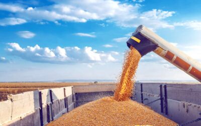 Soja ganha liquidez e milho recua com pressão da oferta no Brasil