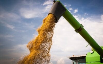 PIB do agronegócio recua 4,28% em 2022 segundo Cepea e CNA