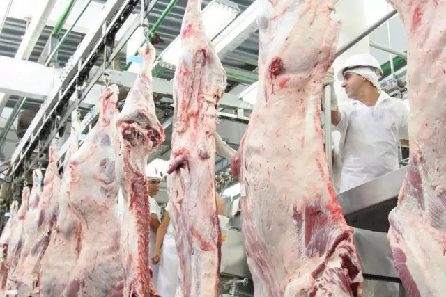 carcaça-bovina-640×427